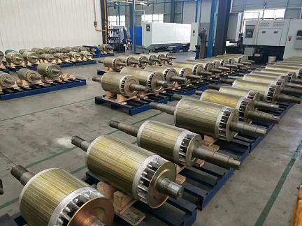 電機轉(zhuǎn)子